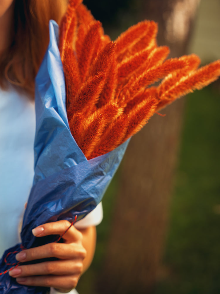 Coloured Tissue Paper - 1 Colour Custom Printing